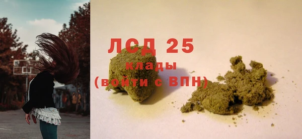 дживик Вязьма