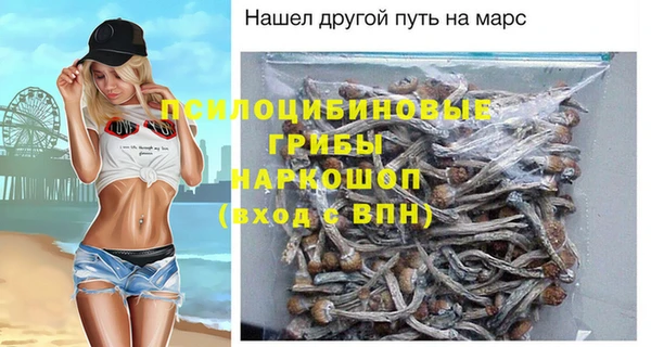 дживик Вязьма