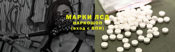 стафф Вяземский