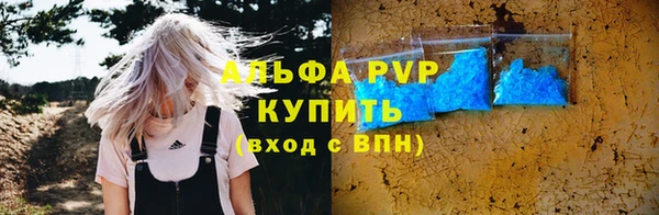 дживик Вязьма