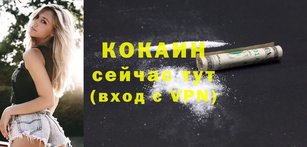 дживик Вязьма