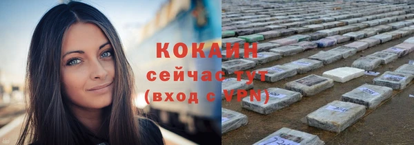 стафф Вяземский