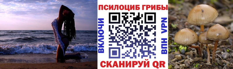 Псилоцибиновые грибы мухоморы  Купить закладки  Пущино 
